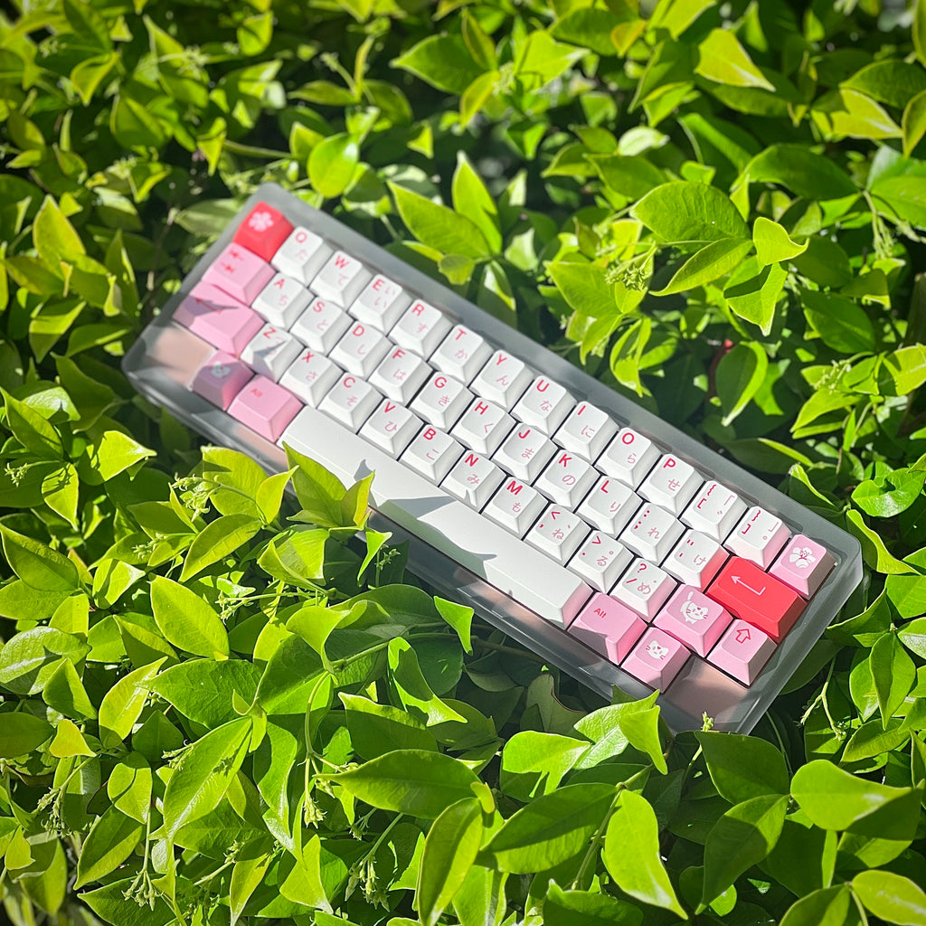 GMK CYL Hazakura