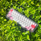 GMK CYL Hazakura