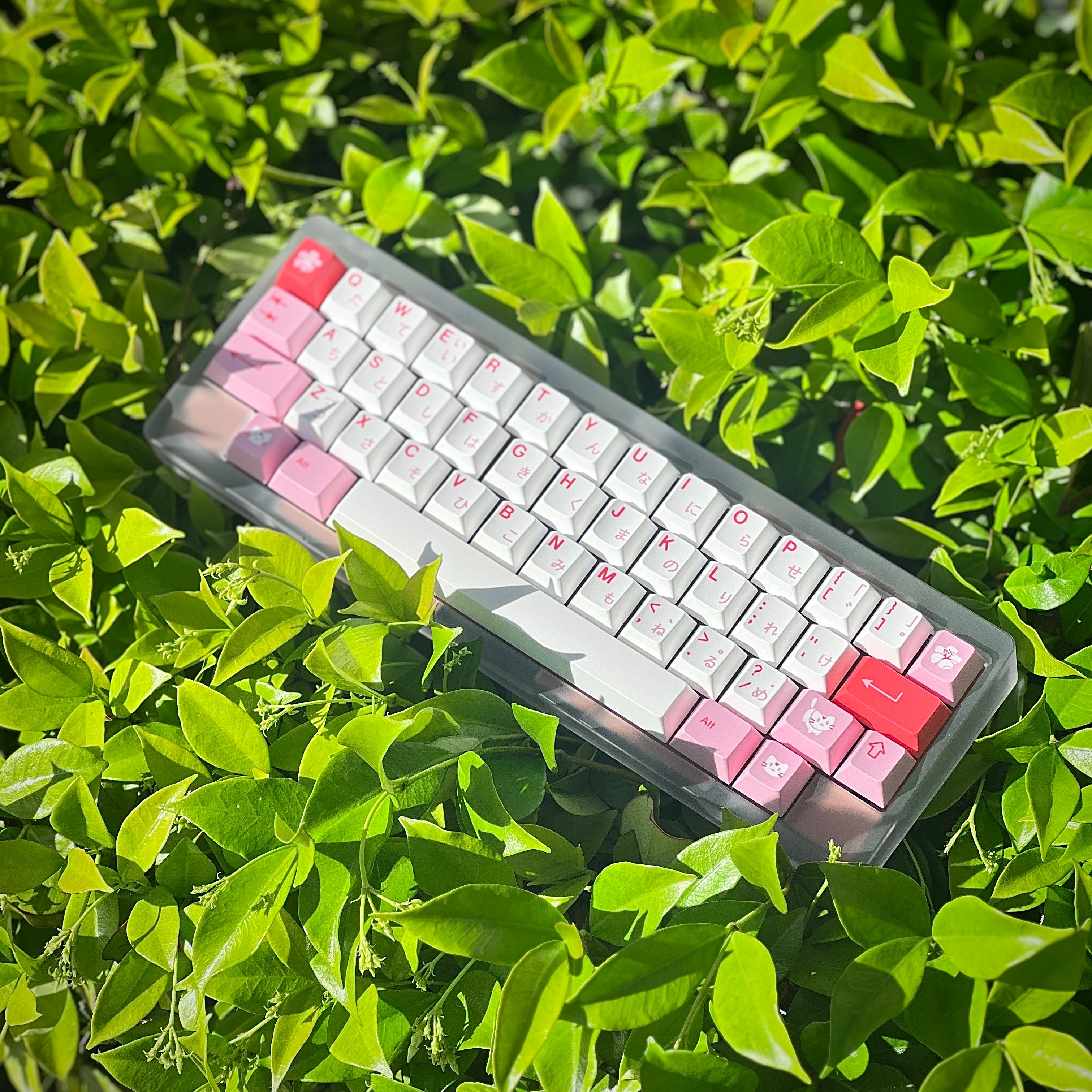 GMK CYL Hazakura