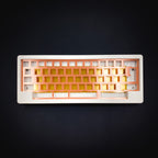TX-60 v2 (HHKB)