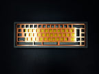 TX-65 v2