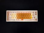 TX-66