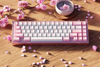 GMK CYL Hazakura