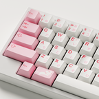 GMK CYL Hazakura